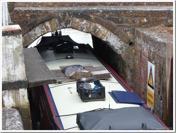 SAM_1058 Nells Br SAM_1058 Nells Br