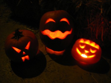 2012-10-28 Pumpkins 002
