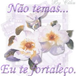 Exibir álbum