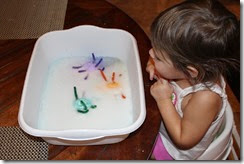 IMG_6105 IMG_6105