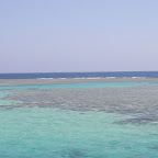103-0383_IMG.JPG