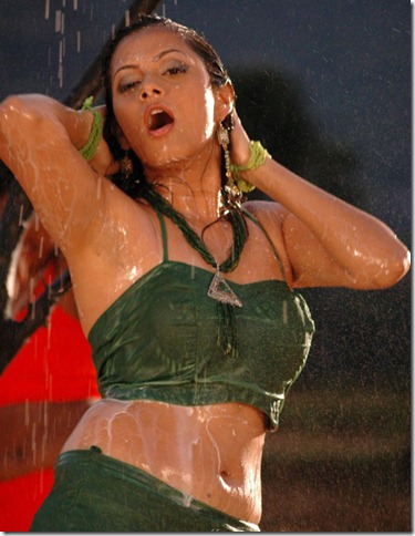 Actress Sindhu Tolani in Mondi Mogudu Hot Stills