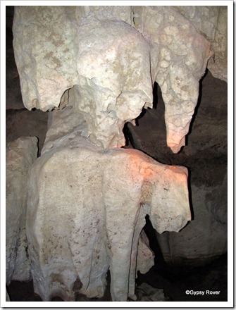 Oparara Honeycombe caves.