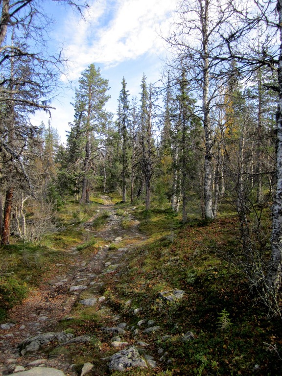 [IMG_2224%255B4%255D.jpg]