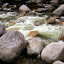 The Rushing Water of Mossman Gorge - Oak Beach, Australia
