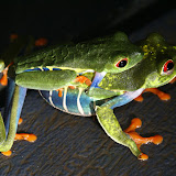Selections - DSC00814.JPG
