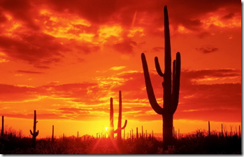 Sunset Desert