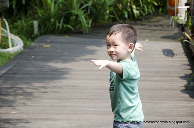 20110603_Jurong Bird park (43 of 53)