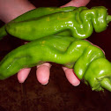 Banana Pepper