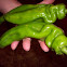 Banana Pepper