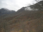 Bosque de Peloño