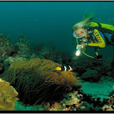 scuba foto album Oman