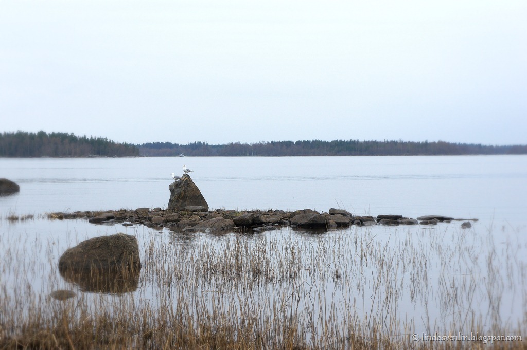 [DSC065711%255B17%255D.jpg]