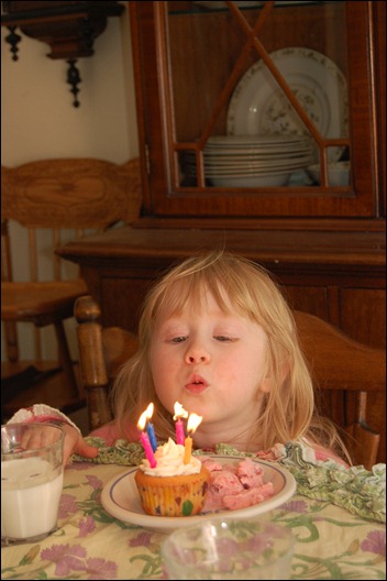 Sophia's 4th Bday and June-July 2011 130