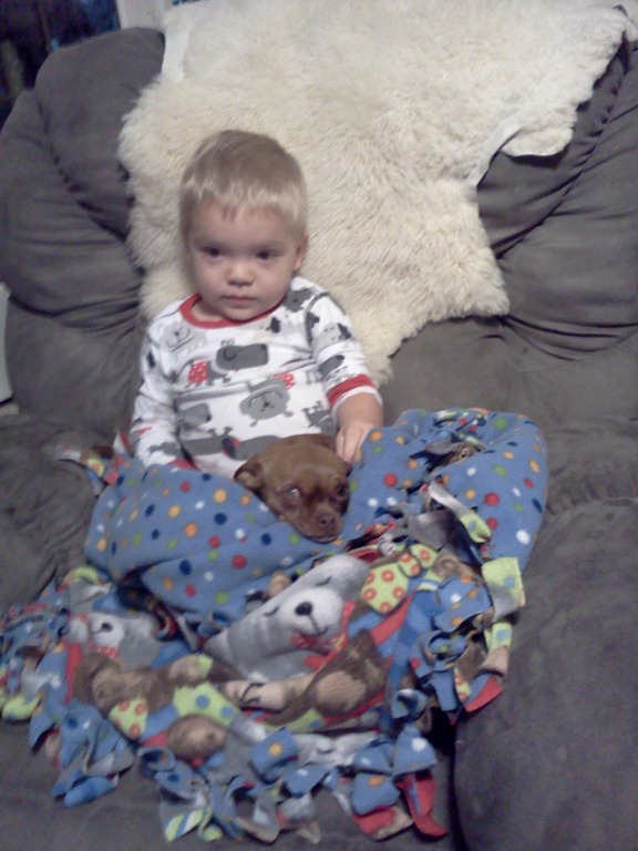 [Phone-pictures-13295.jpg]