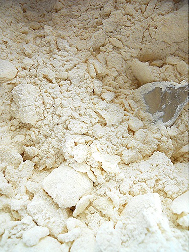 DSCN8819 DSCN8819
