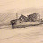 DSCN4039.JPG