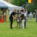IMGP1044.JPG