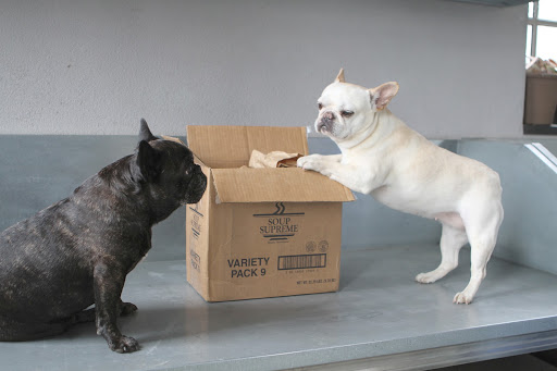 I'll just open the box and get to the bottom of this.  Franny, I get a strong whiff of onions.  Do you suppose it's onion soup?