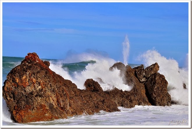 DSC_1689 DSC_1689
