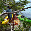 Arrêt dans la mangrove