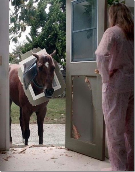 viral-picdump-pics-9