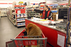 Come on, girls.  We need to focus on the task at hand.  Excuse me, sir?  Can you point us in the right direction for chicken coop supplies?  We're looking for some special lightbulbs...