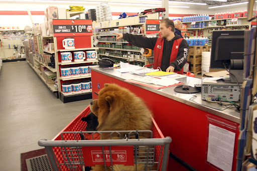 Come on, girls.  We need to focus on the task at hand.  Excuse me, sir?  Can you point us in the right direction for chicken coop supplies?  We're looking for some special lightbulbs...
