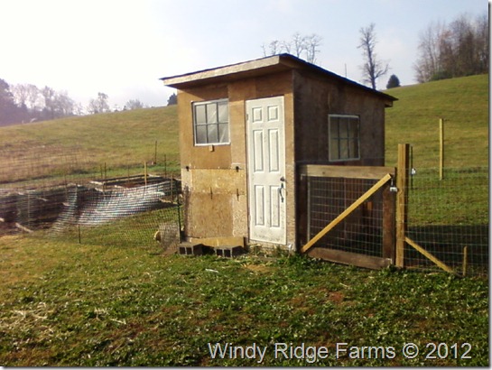 Chicken Coop (1)