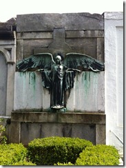 IMG_1003 IMG_1003