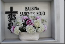 IMG_2952 IMG_2952