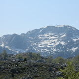 Rogodjed