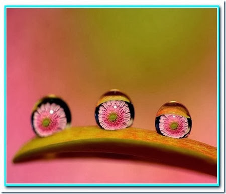 Gotas de bênção Gotas de bênção