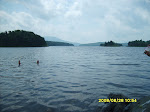 sd530809_20090329_1862826472.jpg