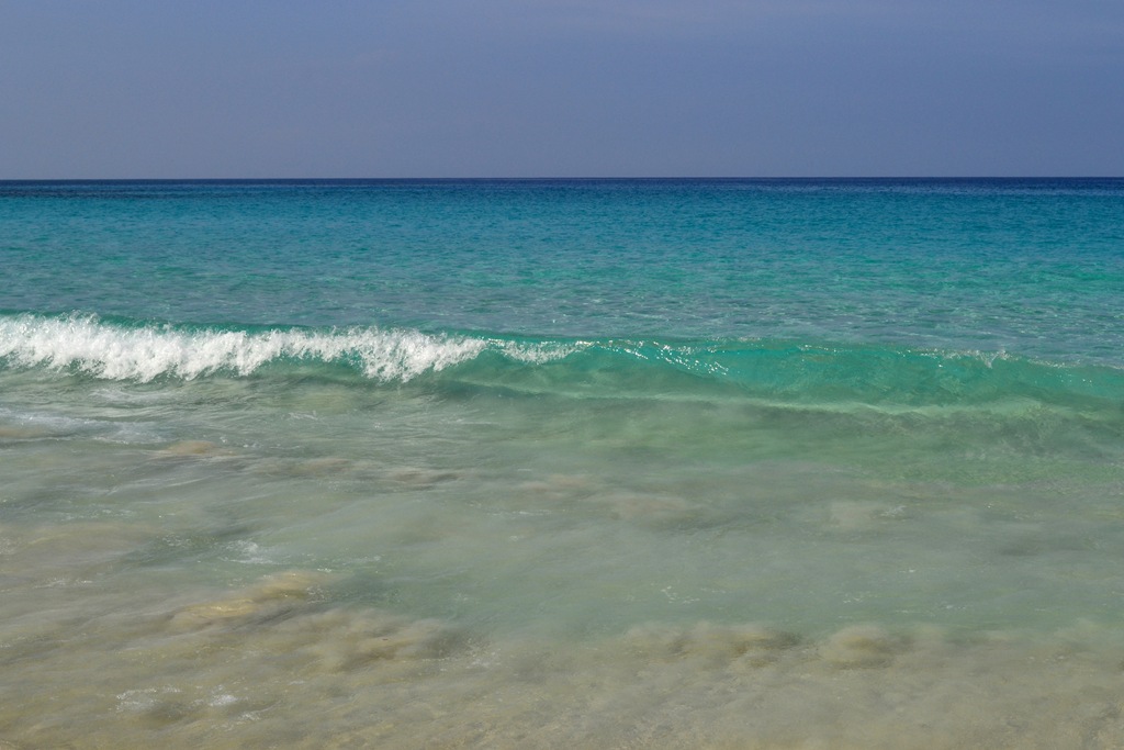 [DSC_0468-1%255B6%255D.jpg]