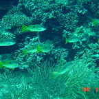 DSC00159.JPG