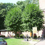 19_08gaskiii.jpg