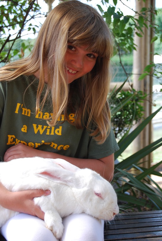 [DSC_0940%255B6%255D.jpg]