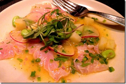 red-snapper-ceviche-print-restaurant-nyc-ink-47