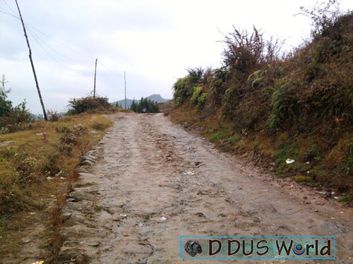 [Pathivarayatra533.jpg]