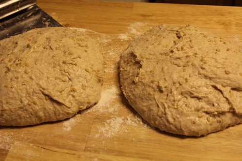 [Sourdough-Spelt-Flaxseed0185.jpg]