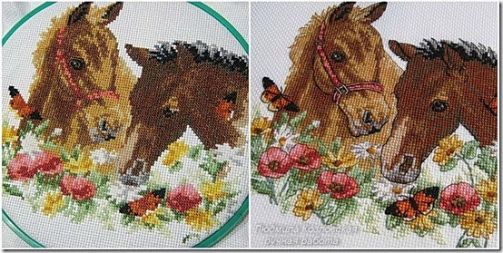 Ribbet collage Ribbet collage