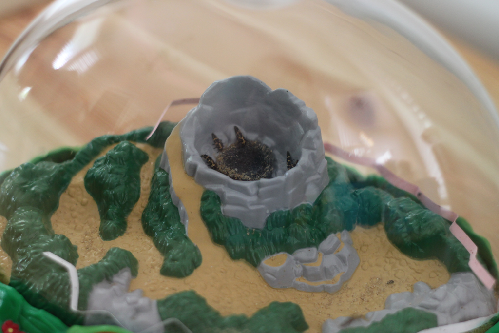 [image%255B6%255D.png]