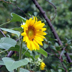 20100815_063_small.JPG