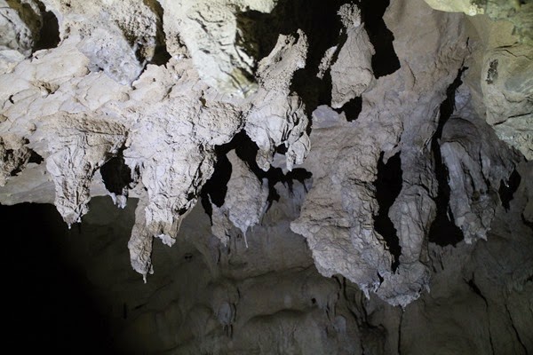 [IMG_2293%255B4%255D.jpg]
