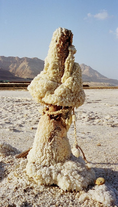 dead-sea-salt-crystals-5