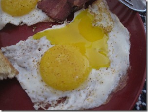 IMG_4526 IMG_4526