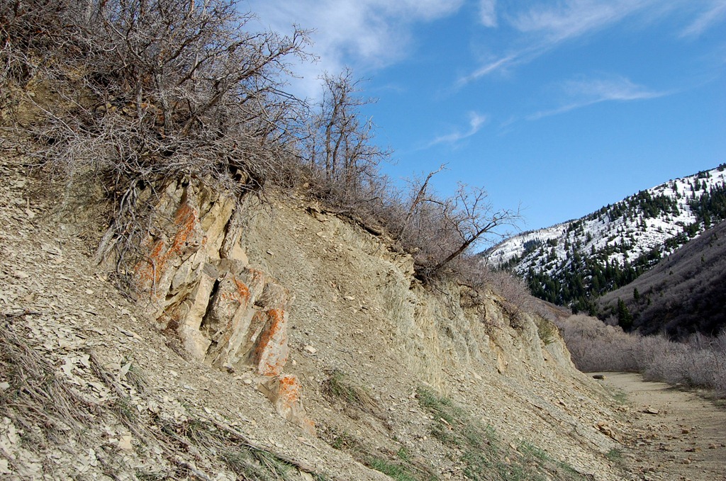 [may2011lambscanyon4110.jpg]