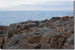 Sunset at Round Hill Head