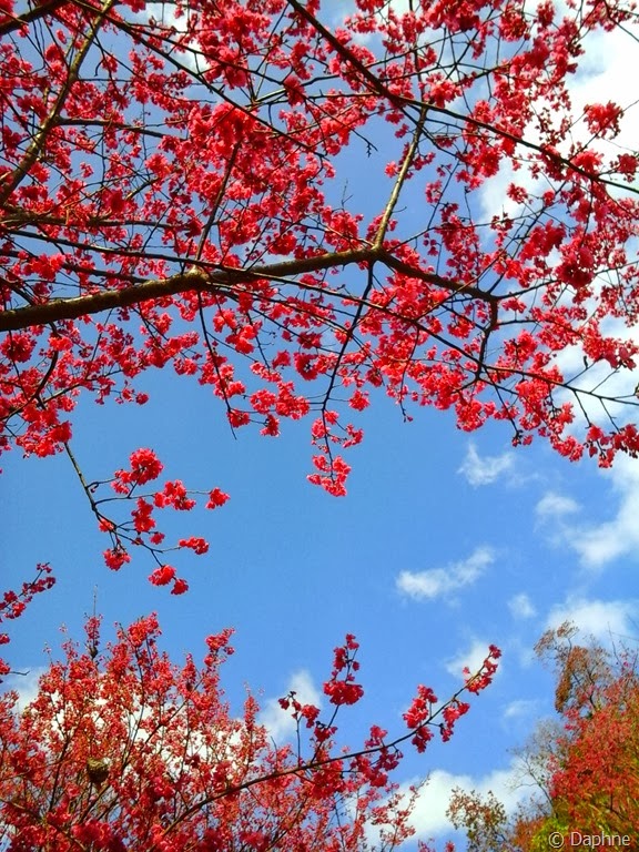 [2014-01-31%252012.28.19%255B5%255D.jpg]